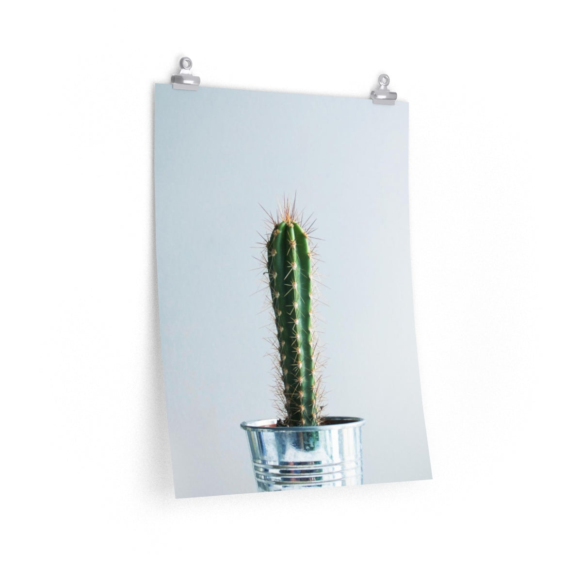 "Spike" Cactus Print