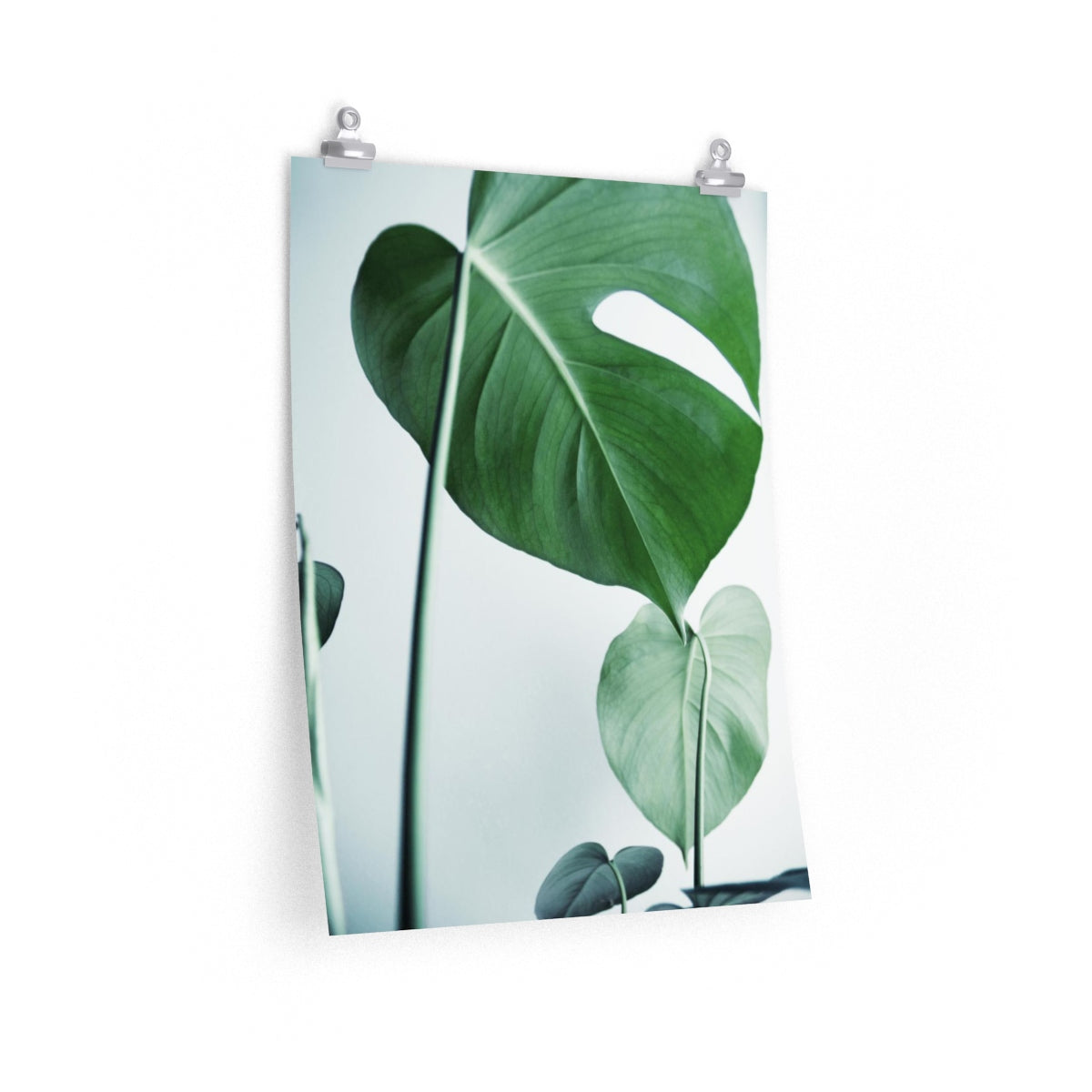 Monstera 2 Print