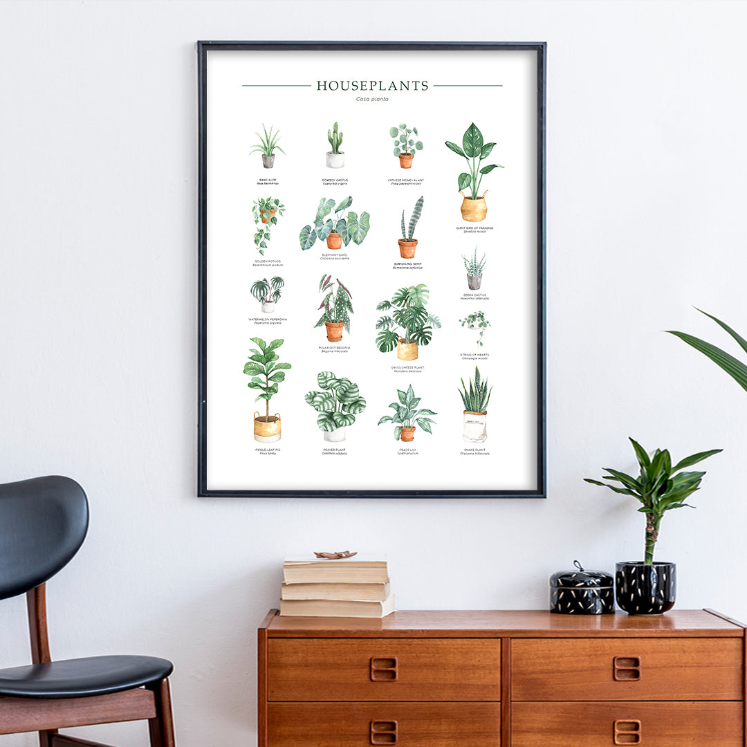 Houseplants Chart Wall Art Print