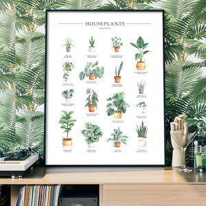 Houseplants Chart Wall Art Print