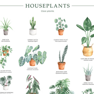 Houseplants Chart Wall Art Print