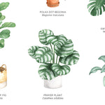 Houseplants Chart Wall Art Print