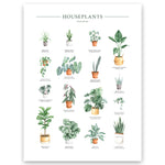 Houseplants Chart Wall Art Print