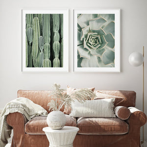 Succulent Wall Art Print