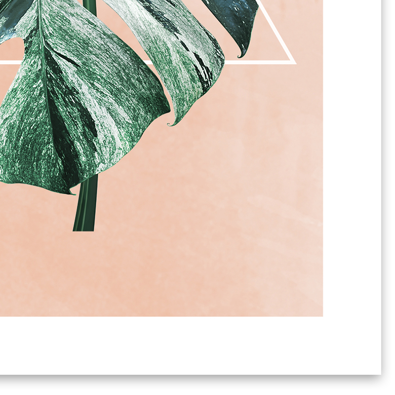 Variegated Monstera Wall Art Print (2 of 3)