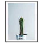 "Spike" Cactus Print