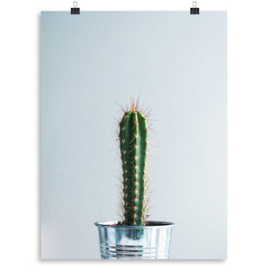 "Spike" Cactus Print