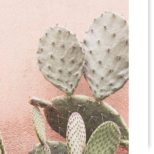 Cactus on Pink Wall Art Print